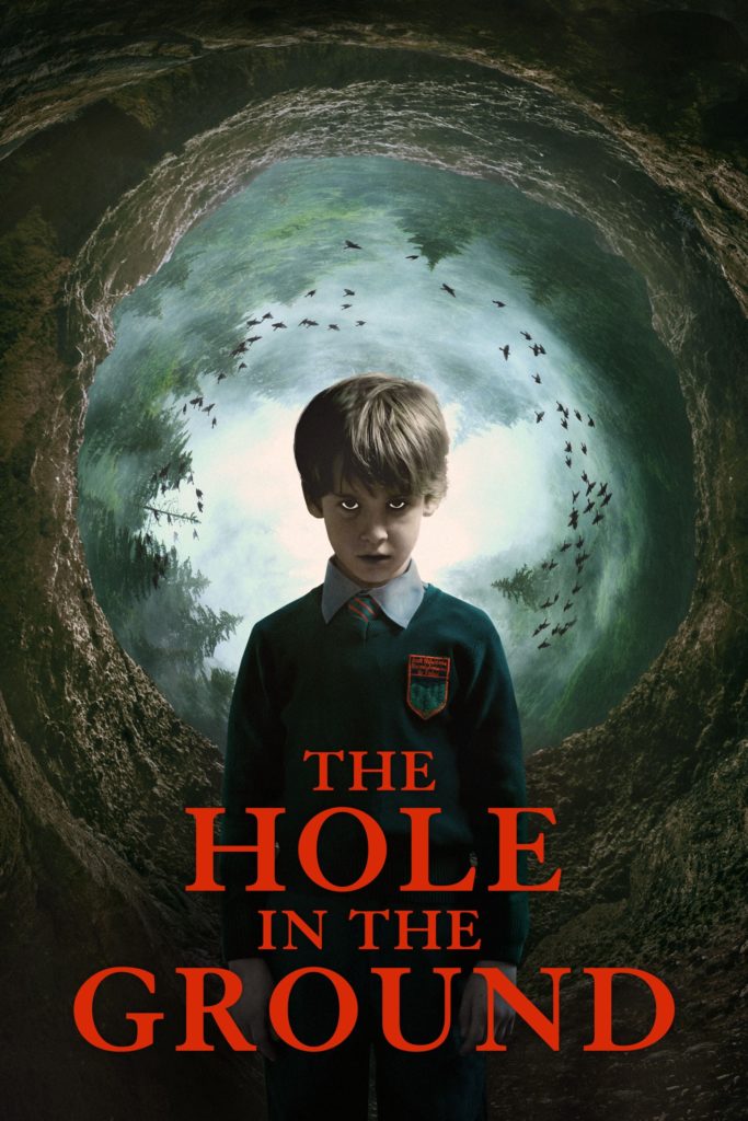 The Hole in the Ground (2019) movie poster