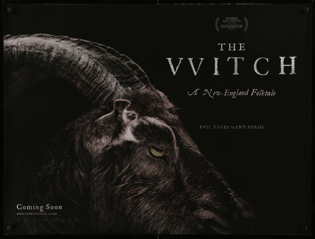 The Witch (2015) movie poster